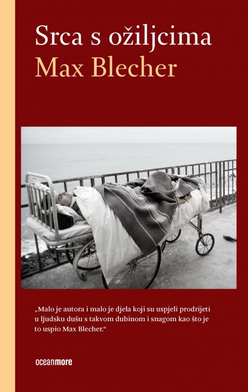 Srca s ožiljcima
